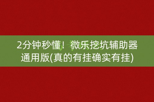 2分钟秒懂！微乐挖坑辅助器通用版(真的有挂确实有挂)