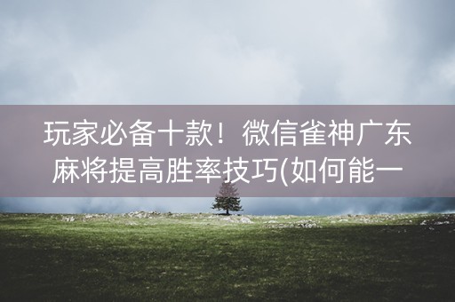 玩家必备十款！微信雀神广东麻将提高胜率技巧(如何能一直赢)