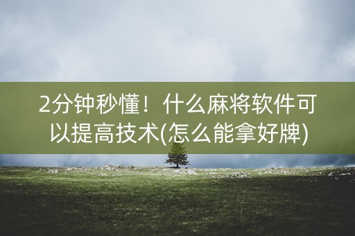 2分钟秒懂！什么麻将软件可以提高技术(怎么能拿好牌)