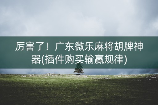 厉害了！广东微乐麻将胡牌神器(插件购买输赢规律)