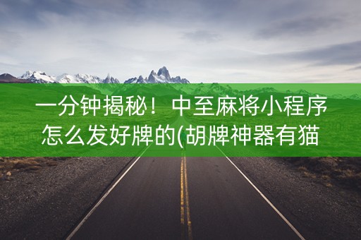 一分钟揭秘！中至麻将小程序怎么发好牌的(胡牌神器有猫腻吗)