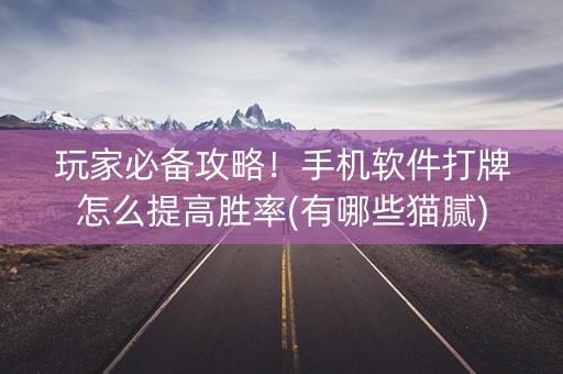 玩家必备攻略！手机软件打牌怎么提高胜率(有哪些猫腻)