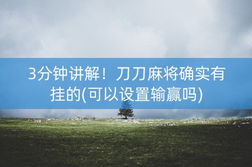 3分钟讲解！刀刀麻将确实有挂的(可以设置输赢吗)