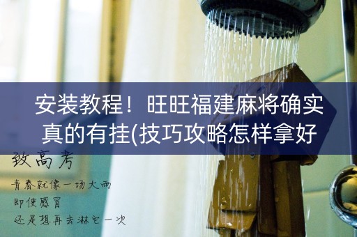 安装教程！旺旺福建麻将确实真的有挂(技巧攻略怎样拿好牌)