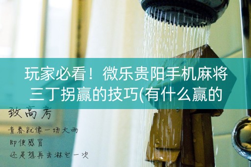 玩家必看！微乐贵阳手机麻将三丁拐赢的技巧(有什么赢的技巧)