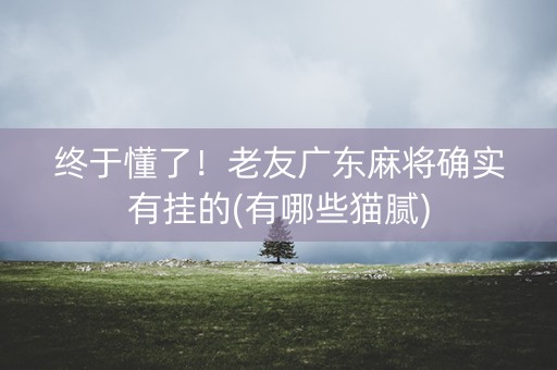 终于懂了！老友广东麻将确实有挂的(有哪些猫腻)