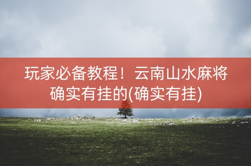玩家必备教程！云南山水麻将确实有挂的(确实有挂)