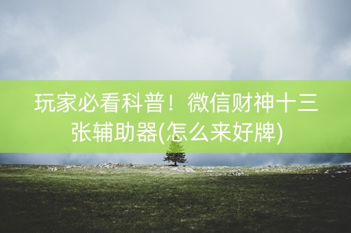 玩家必看科普！微信财神十三张辅助器(怎么来好牌)
