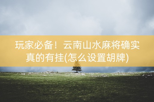 玩家必备！云南山水麻将确实真的有挂(怎么设置胡牌)
