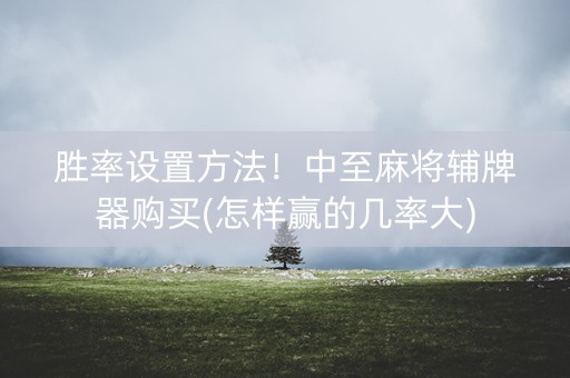 胜率设置方法！中至麻将辅牌器购买(怎样赢的几率大)