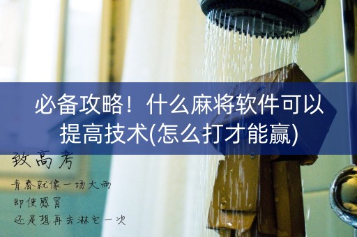 必备攻略！什么麻将软件可以提高技术(怎么打才能赢)