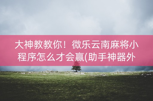 大神教教你！微乐云南麻将小程序怎么才会赢(助手神器外辅工具)