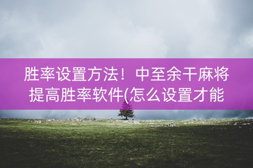 胜率设置方法！中至余干麻将提高胜率软件(怎么设置才能赢)