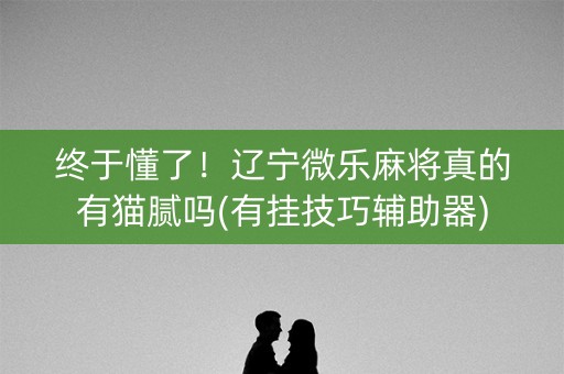 终于懂了！辽宁微乐麻将真的有猫腻吗(有挂技巧辅助器)