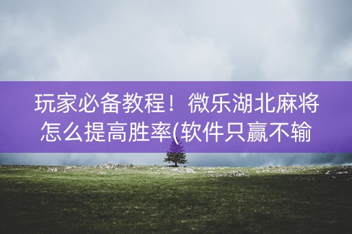 玩家必备教程！微乐湖北麻将怎么提高胜率(软件只赢不输)