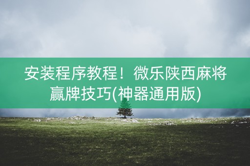 安装程序教程！微乐陕西麻将赢牌技巧(神器通用版)