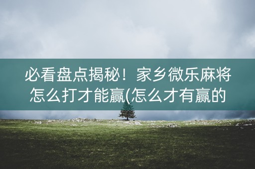 必看盘点揭秘！家乡微乐麻将怎么打才能赢(怎么才有赢的几率)