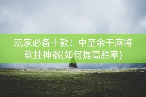 玩家必备十款！中至余干麻将软挂神器(如何提高胜率)