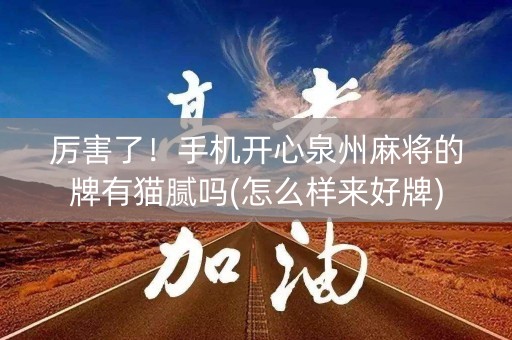 厉害了！手机开心泉州麻将的牌有猫腻吗(怎么样来好牌)