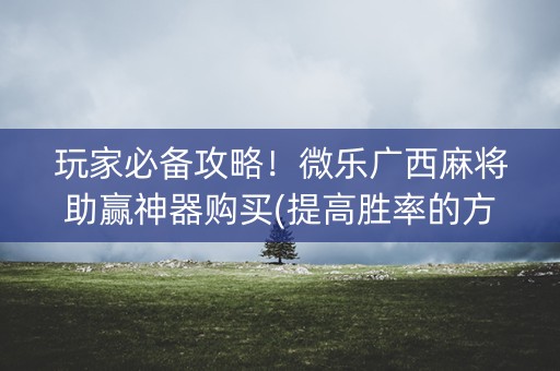 玩家必备攻略！微乐广西麻将助赢神器购买(提高胜率的方法)