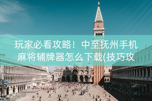 玩家必看攻略！中至抚州手机麻将辅牌器怎么下载(技巧攻略怎样拿好牌)