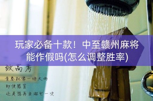 玩家必备十款！中至赣州麻将能作假吗(怎么调整胜率)