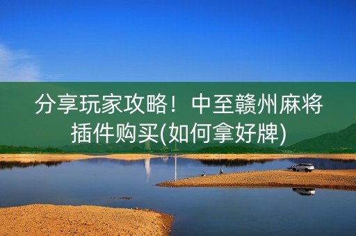 分享玩家攻略！中至赣州麻将插件购买(如何拿好牌)
