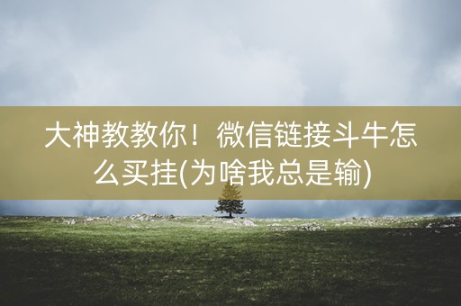 大神教教你！微信链接斗牛怎么买挂(为啥我总是输)