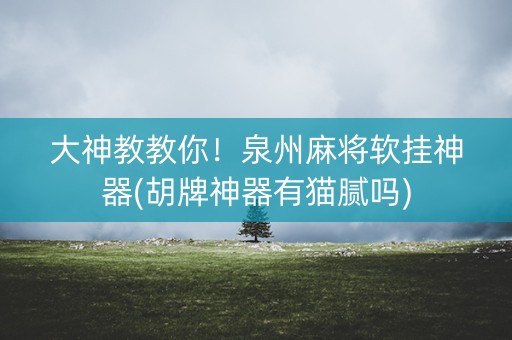 大神教教你！泉州麻将软挂神器(胡牌神器有猫腻吗)