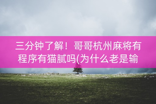 三分钟了解！哥哥杭州麻将有程序有猫腻吗(为什么老是输呢)