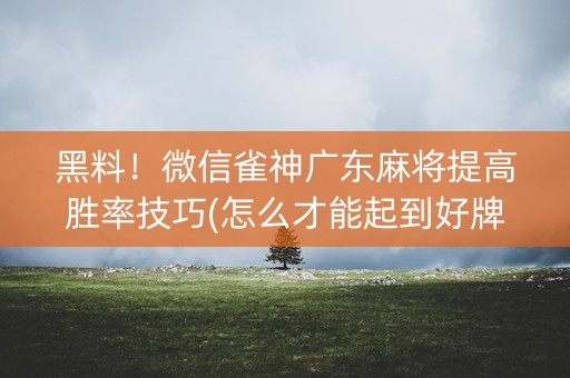 黑料！微信雀神广东麻将提高胜率技巧(怎么才能起到好牌)