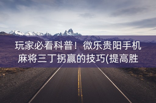 玩家必看科普！微乐贵阳手机麻将三丁拐赢的技巧(提高胜率方法)