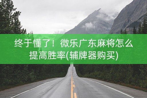 终于懂了！微乐广东麻将怎么提高胜率(辅牌器购买)