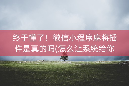 终于懂了！微信小程序麻将插件是真的吗(怎么让系统给你发好牌)