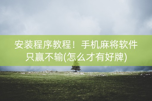 安装程序教程！手机麻将软件只赢不输(怎么才有好牌)
