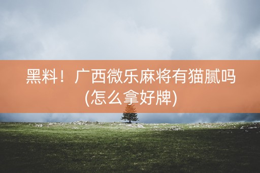 黑料！广西微乐麻将有猫腻吗(怎么拿好牌)