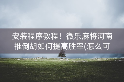 安装程序教程！微乐麻将河南推倒胡如何提高胜率(怎么可以赢)