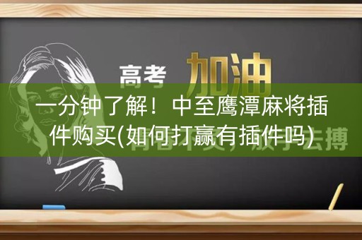 一分钟了解！中至鹰潭麻将插件购买(如何打赢有插件吗)
