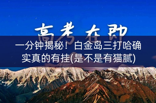一分钟揭秘！白金岛三打哈确实真的有挂(是不是有猫腻)