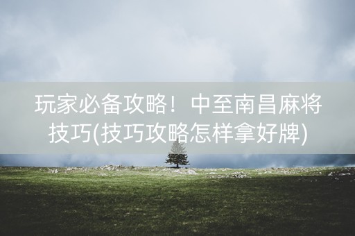 玩家必备攻略！中至南昌麻将技巧(技巧攻略怎样拿好牌)
