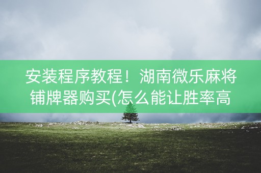 安装程序教程！湖南微乐麻将铺牌器购买(怎么能让胜率高)