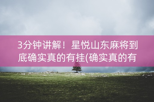 3分钟讲解！星悦山东麻将到底确实真的有挂(确实真的有挂)
