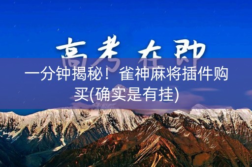 一分钟揭秘！雀神麻将插件购买(确实是有挂)