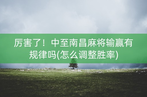 厉害了！中至南昌麻将输赢有规律吗(怎么调整胜率)