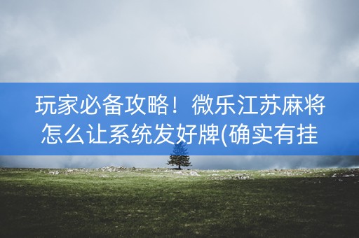玩家必备攻略！微乐江苏麻将怎么让系统发好牌(确实有挂吗)