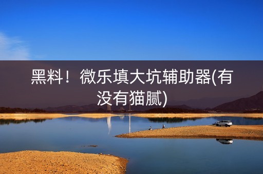 黑料！微乐填大坑辅助器(有没有猫腻)