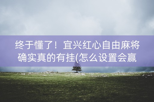 终于懂了！宜兴红心自由麻将确实真的有挂(怎么设置会赢)
