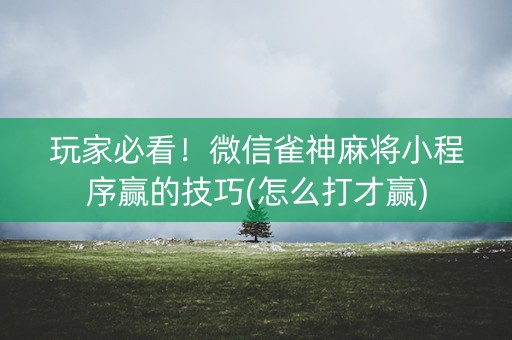 玩家必看！微信雀神麻将小程序赢的技巧(怎么打才赢)