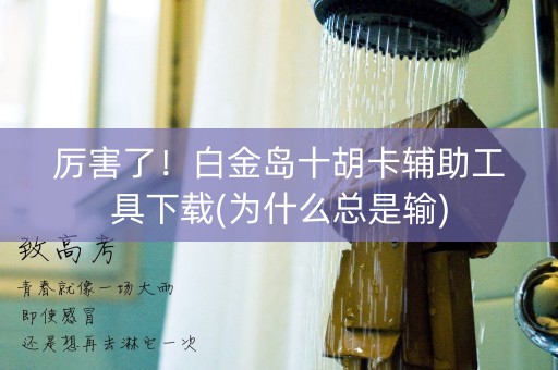 厉害了！白金岛十胡卡辅助工具下载(为什么总是输)