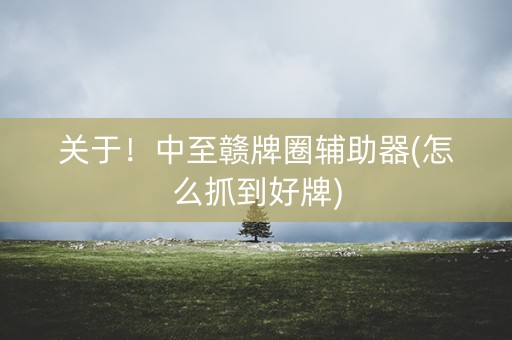 关于！中至赣牌圈辅助器(怎么抓到好牌)